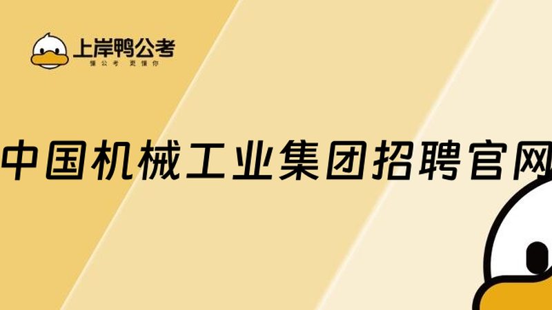 高频振动筛：价格背后的技术考量**